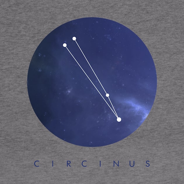 Circinus Constellation by clothespin